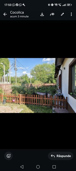 Snagov, langa Club Snagov