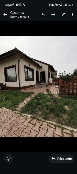 Snagov, langa Club Snagov