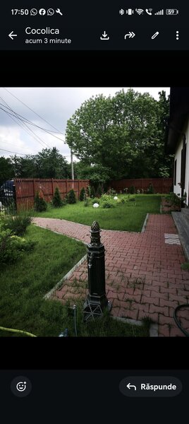 Snagov, langa Club Snagov